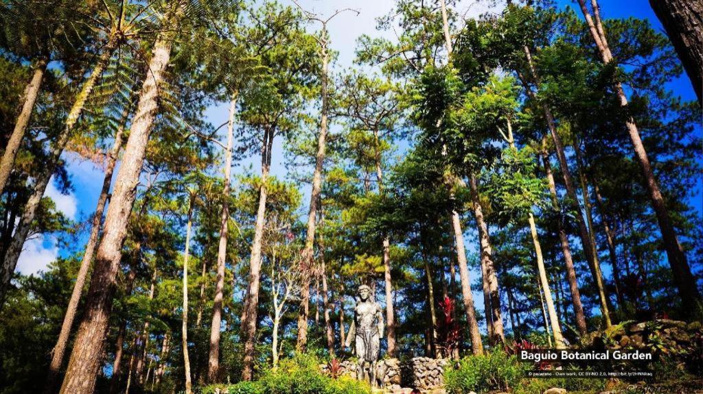 Zen Rooms Venus Parkview Baguio Багио Экстерьер фото